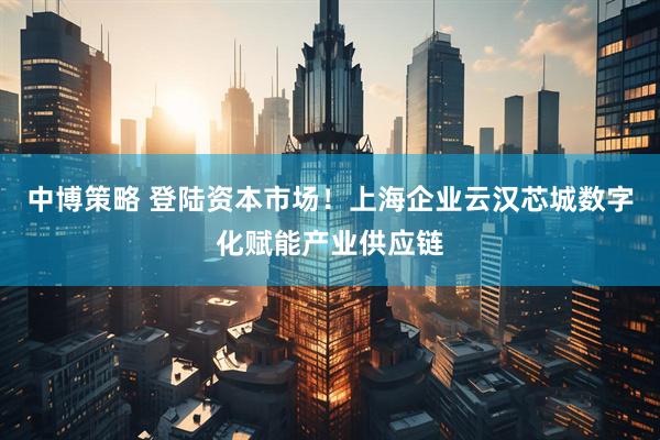中博策略 登陆资本市场！上海企业云汉芯城数字化赋能产业供应链