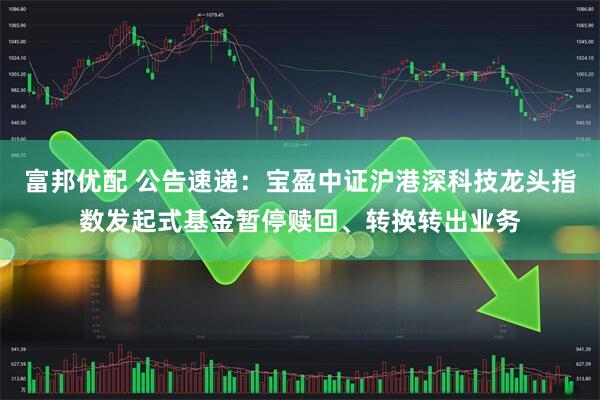 富邦优配 公告速递：宝盈中证沪港深科技龙头指数发起式基金暂停赎回、转换转出业务