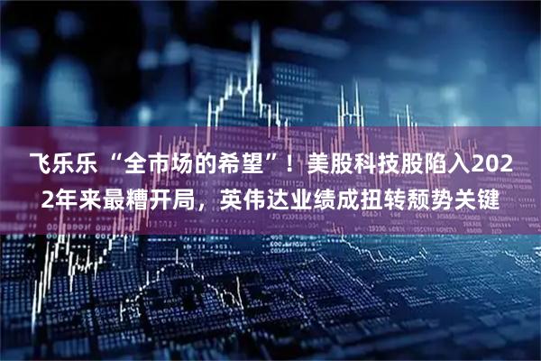 飞乐乐 “全市场的希望”!美股科技股陷入2022年来最糟开局,英伟达业绩成扭转颓势关键