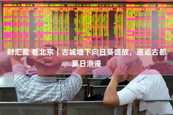 财汇盈 看北京｜古城墙下向日葵盛放，邂逅古都夏日浪漫